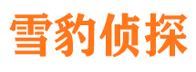 芒康寻人公司